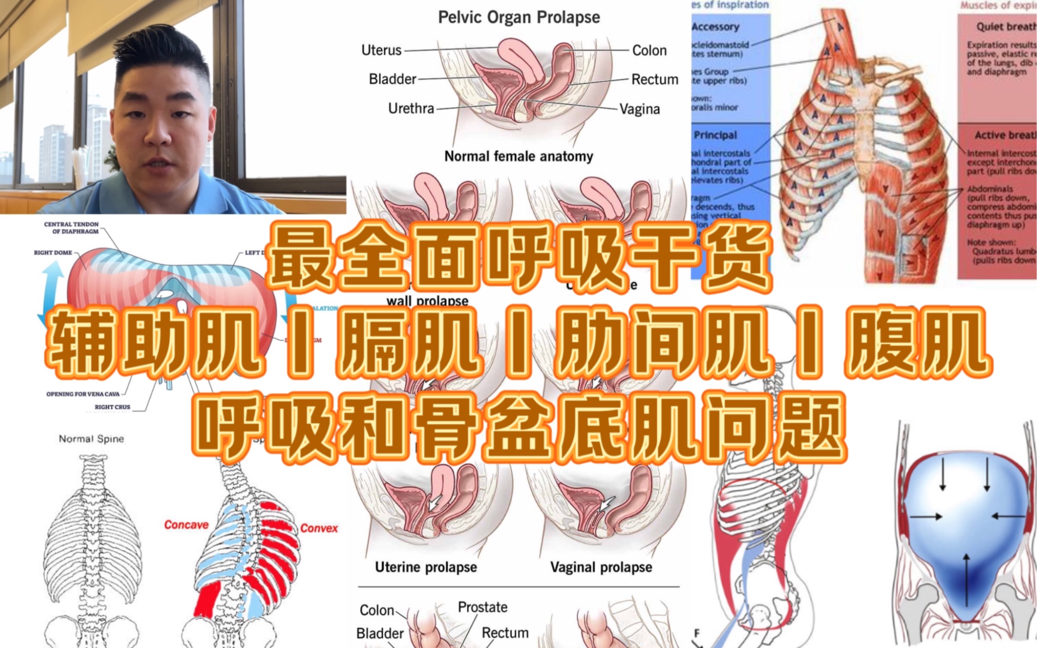 最全面呼吸讲解|辅助肌,膈肌,肋间肌,腹肌之间的关系,以及它们会怎样影响骨盆底肌?产后问题,骨盆底肌过弱怎么办?哔哩哔哩bilibili