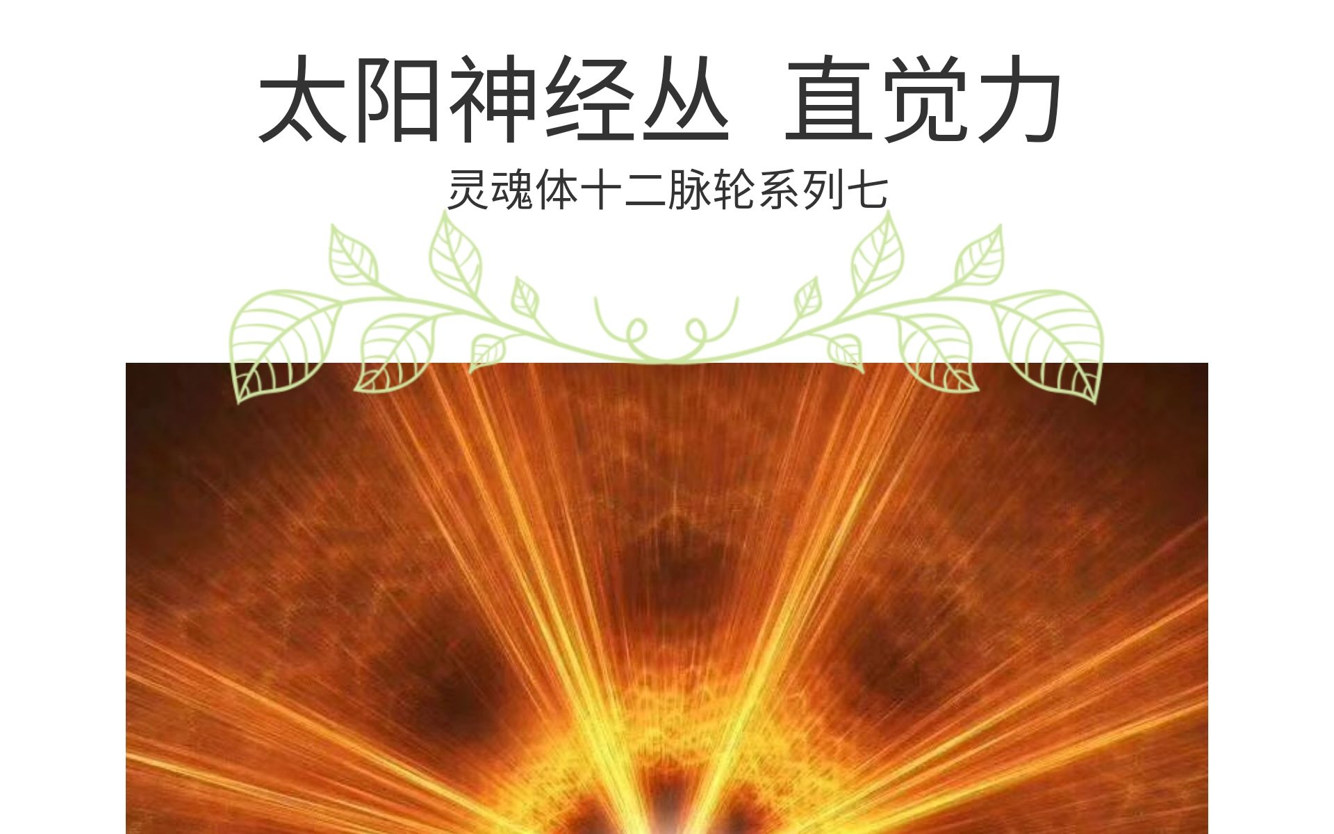【太阳神经丛】开 启你的直觉力 消除焦虑与恐惧