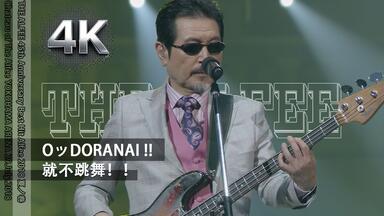 THE ALFEE OVER DRIVE 1983 LIVE BUDOKAN_哔哩哔哩_bilibili