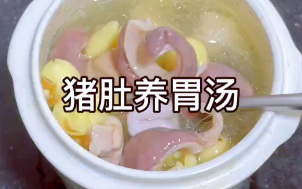 燉豬肚加一點當歸超級香#煲湯 #豬肚湯 #健脾養胃