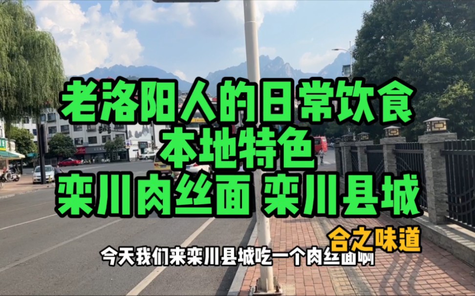 作为老洛阳人,一碗地道的栾川肉丝面,你是不是必须的吃,还有著名的栾川豆腐和大猪蹄子.哔哩哔哩bilibili