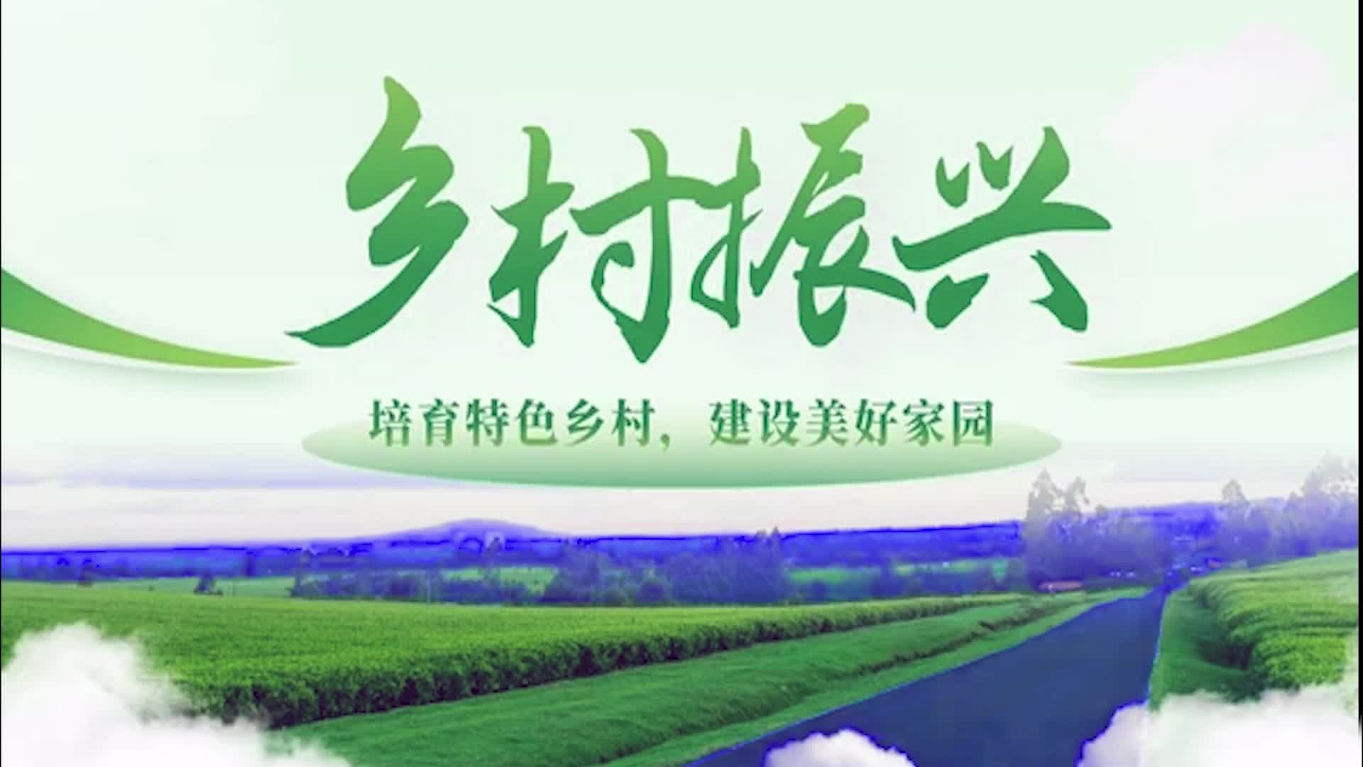 ppt设计,乡村振兴封面大气开场