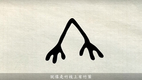 漢字演變百例之u201c竹u201d字。《说文解字》竹:冬生艸也。象形。下垂者,箁箬