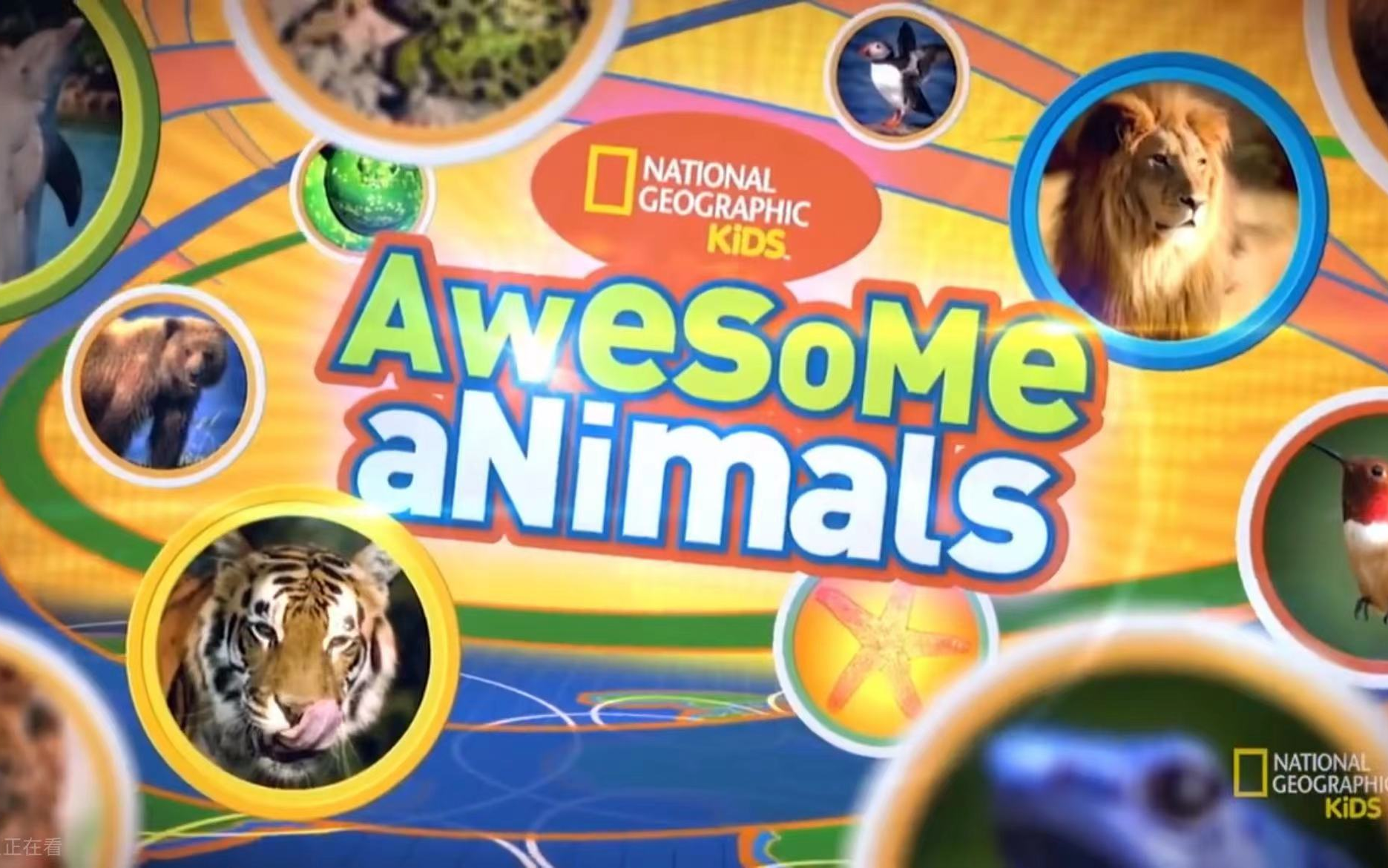 [图]【国家地理儿童】动物自然科普纪录片《Awesome Animals》英文