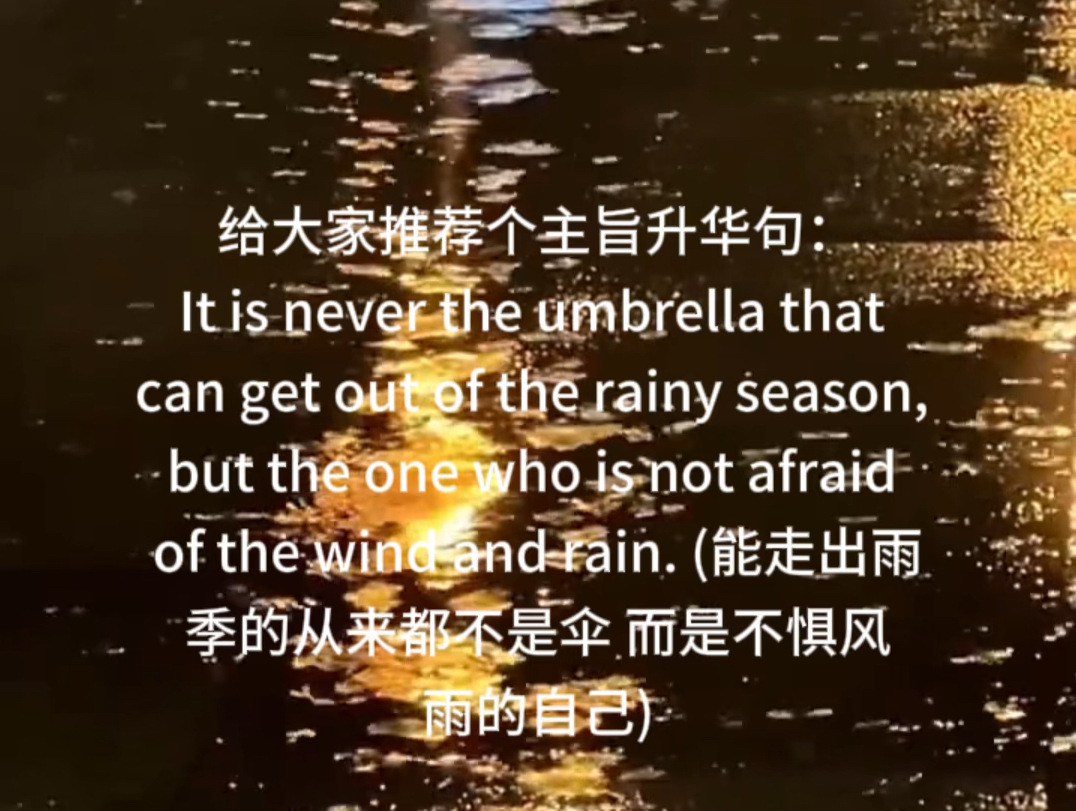 【作文素材】能走出雨季的从来都不是伞,而是不惧风雨的自己哔哩哔哩bilibili