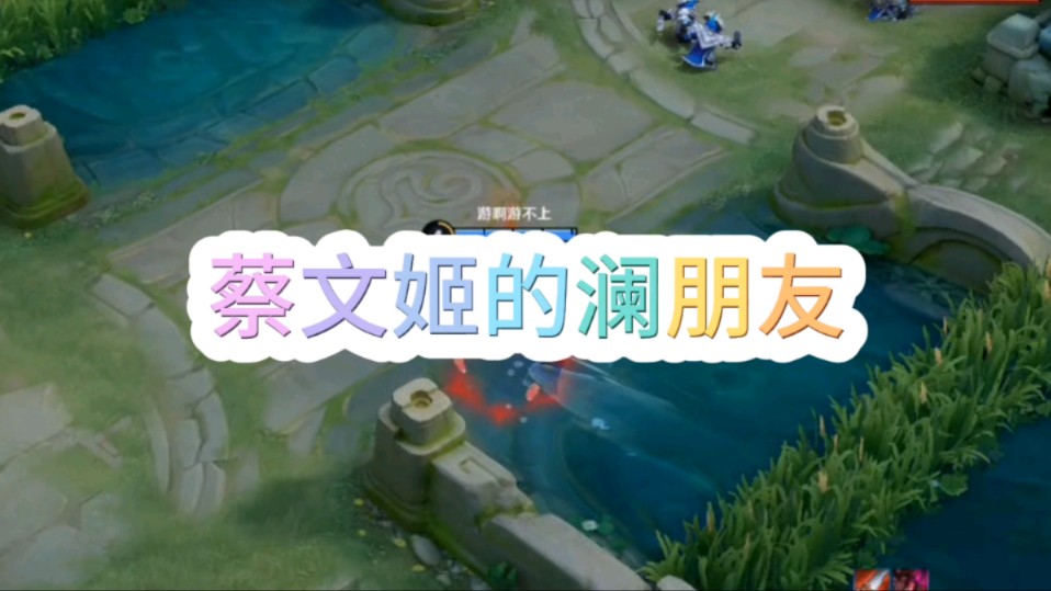蔡文姬的澜朋友