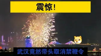 Download Video: 震惊！武汉竟然带头取消禁鞭令！(doge)长江艺术季开幕式录像