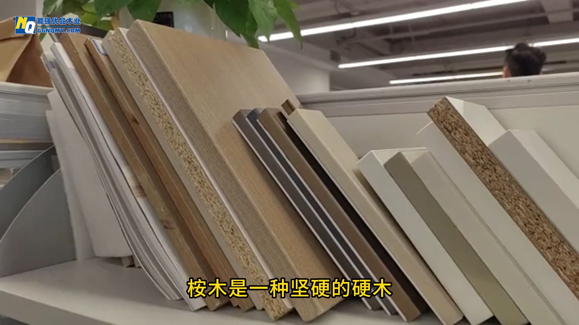 广西桉木建筑模板