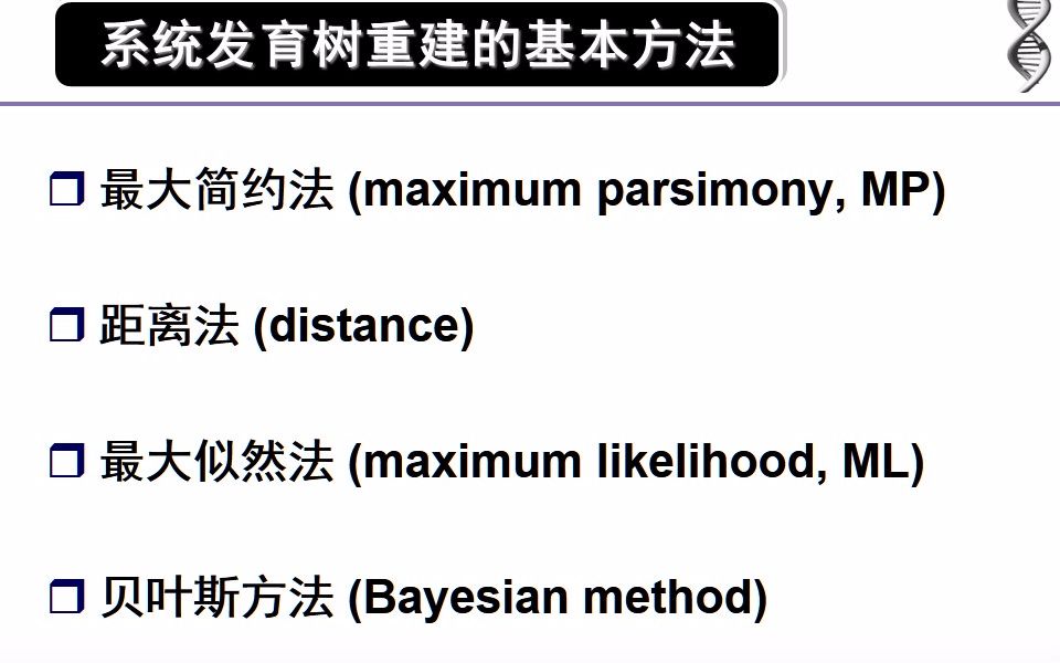 《生物信息学》薛宇华中科技大学第七章 分子进化与系统发育分析第27节课哔哩哔哩bilibili