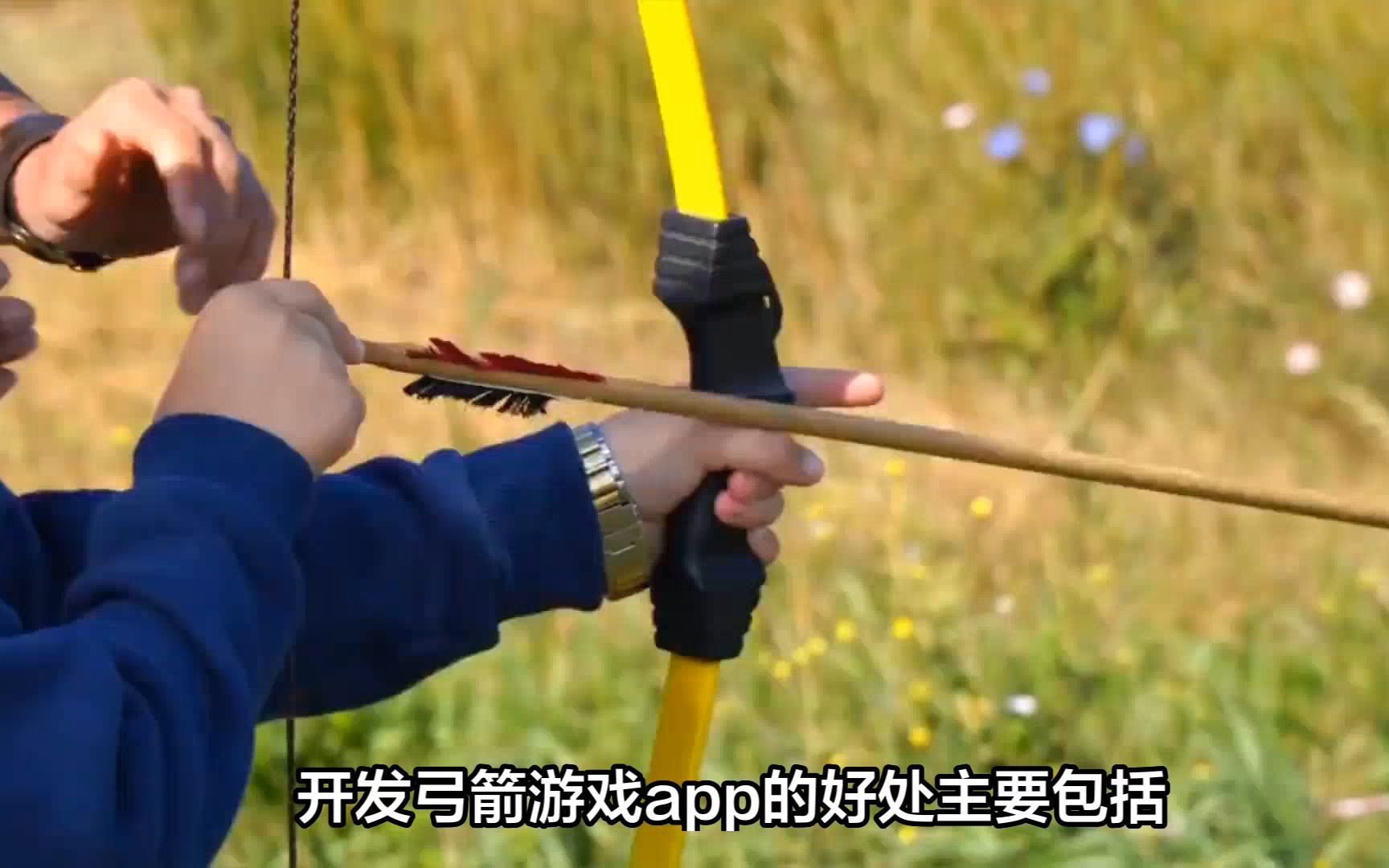 单机弓箭射击小游戏(哪个单机游戏的弓箭手最好玩)