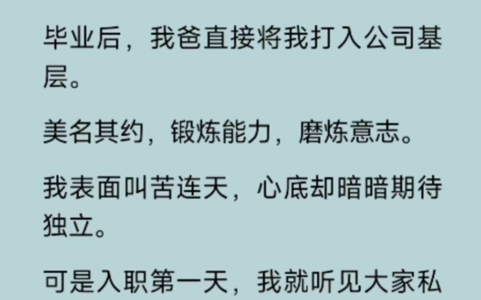 毕业后我爸直接将我打入公司基层,我表面叫苦连天,心底则乐开了花哔哩哔哩bilibili