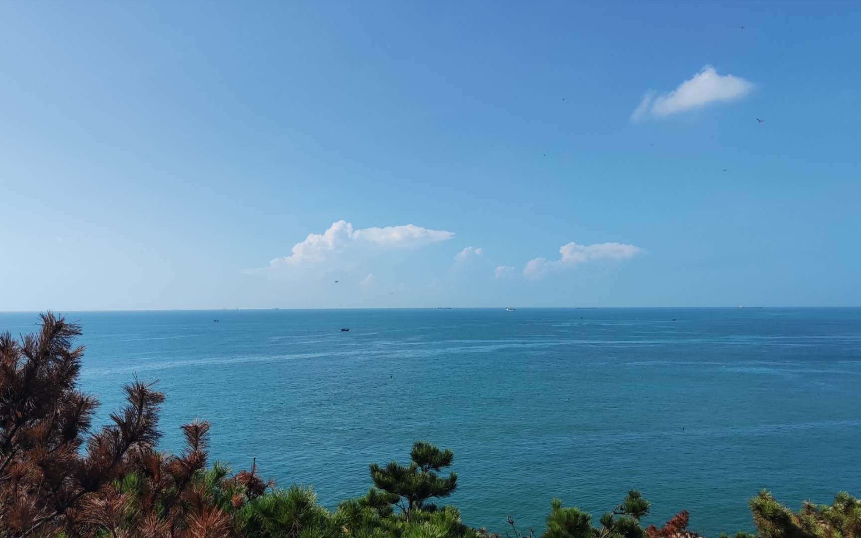 听海--湄洲岛:海风吹过的印记