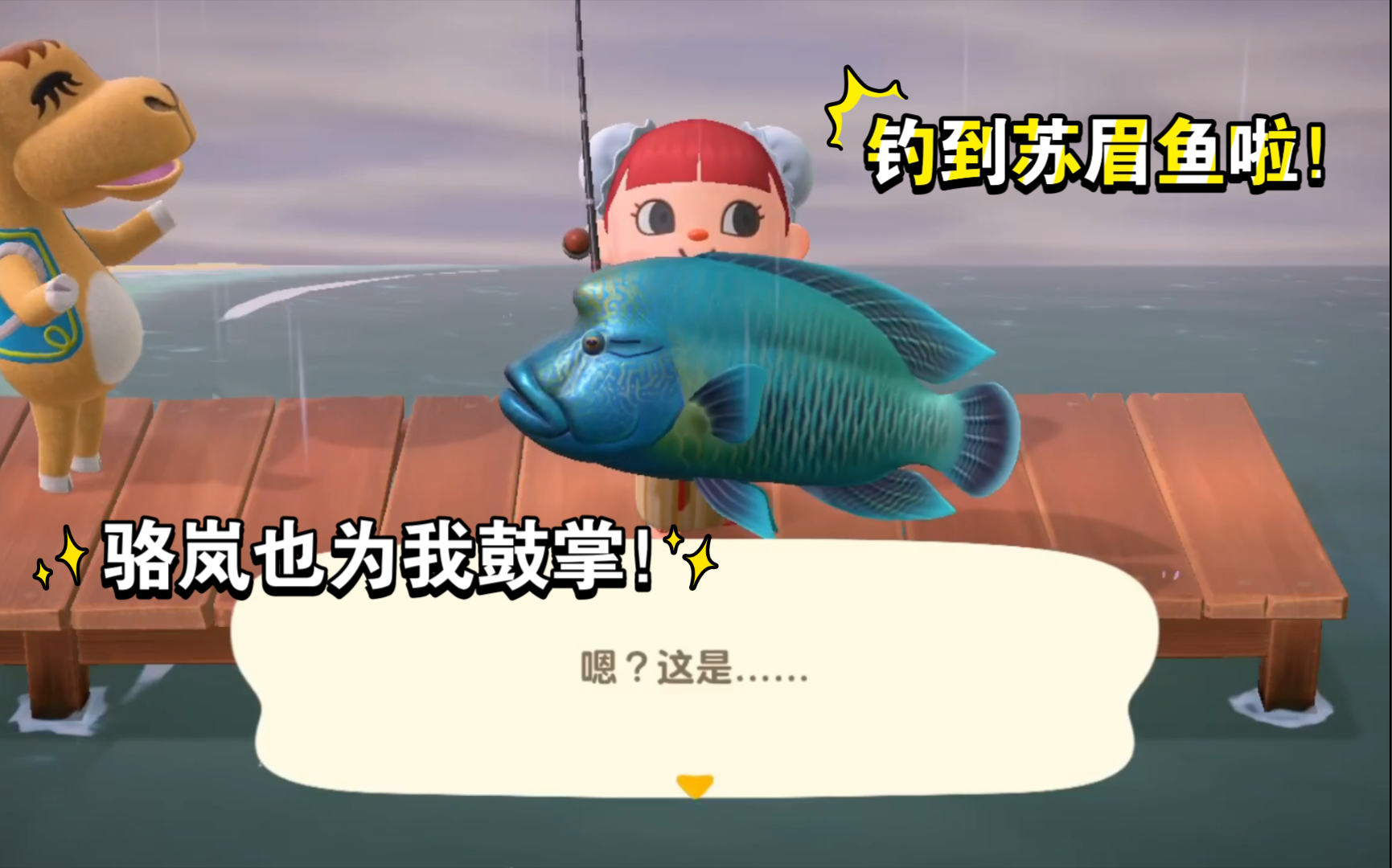 動森如何釣到蘇眉魚