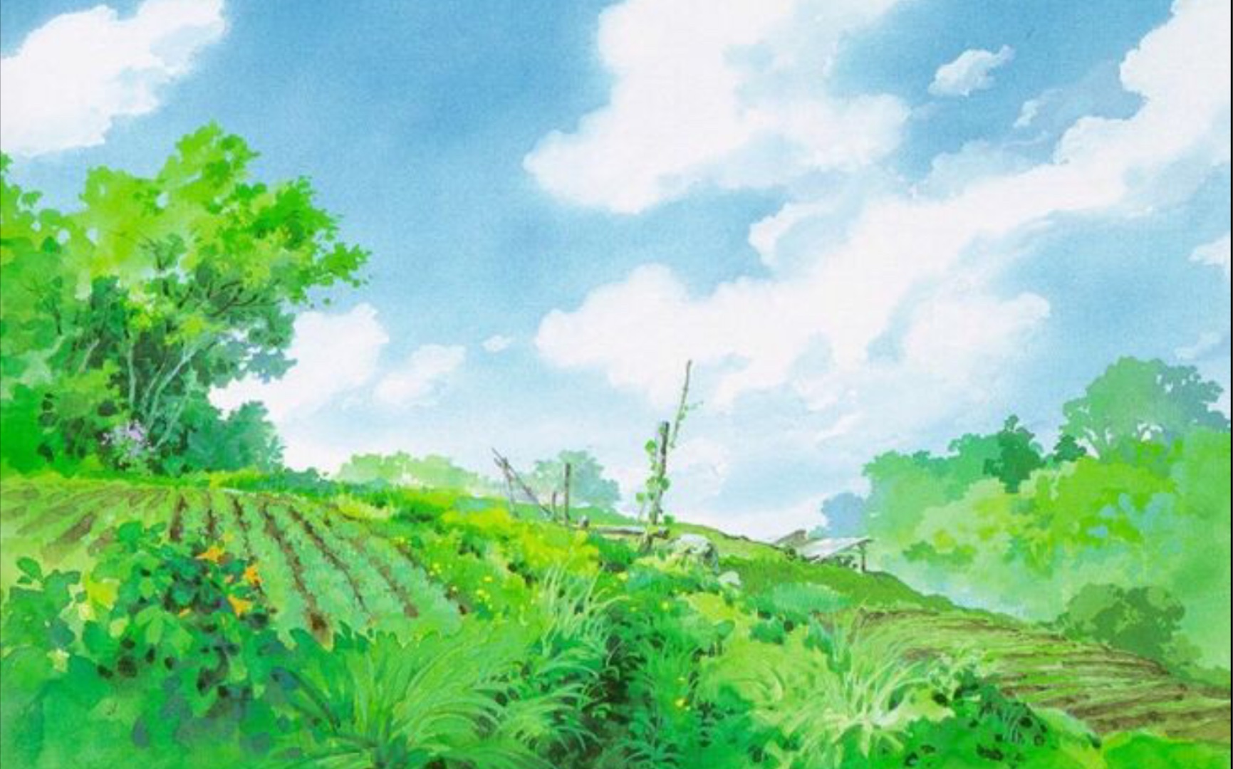 听说宫崎骏与夏天更配—每一帧都是壁纸.