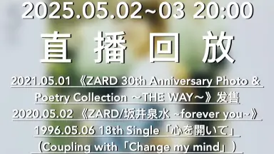 Amazon.co.jp: カップヌードル レッドゾーン 蓋 ZARD 坂井泉