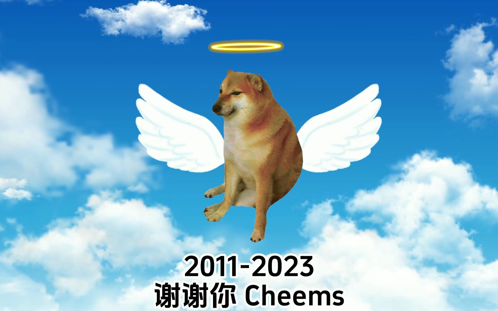 谢谢你,cheems