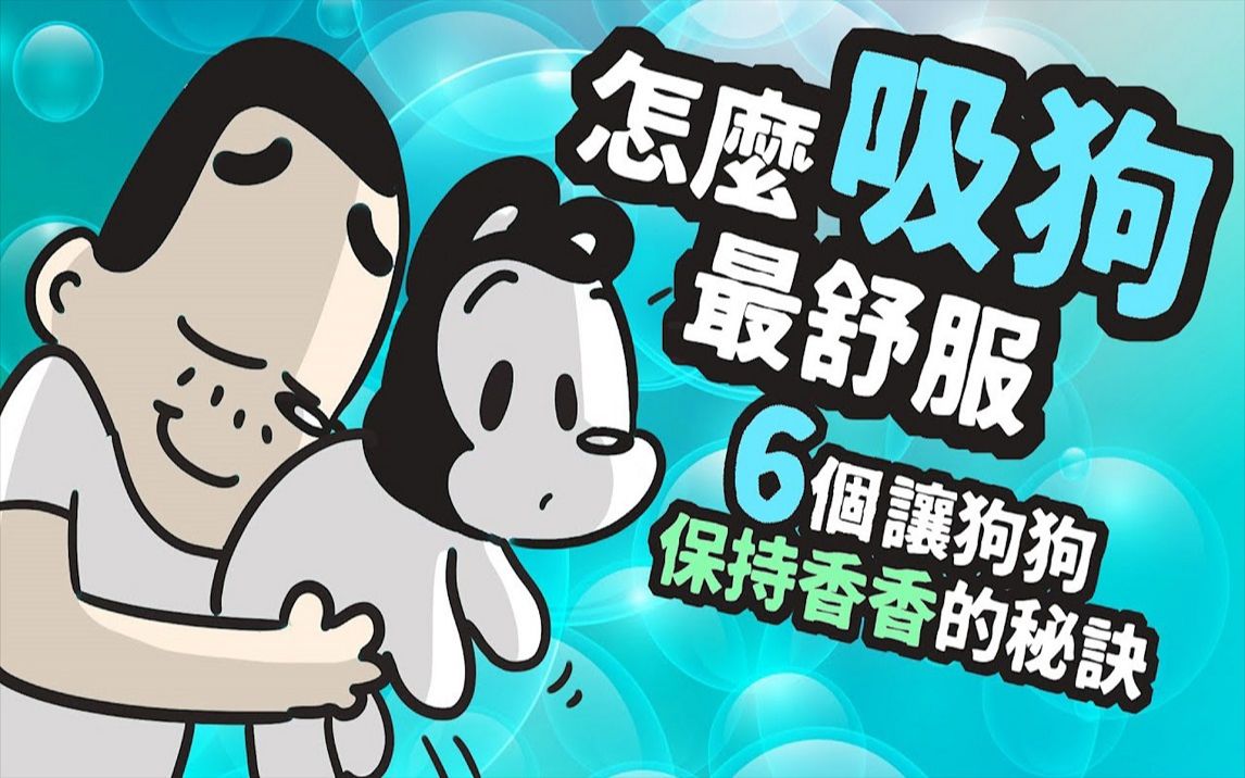 6个让狗狗一直香喷喷的秘诀!从此大口吸狗狗不是梦!哔哩哔哩bilibili