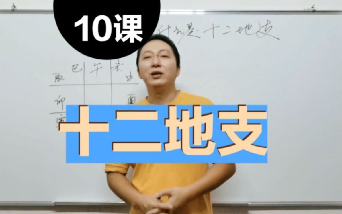 什么是十二地支?详解十二地支,张洋八字基础入门视频教程第10课哔哩哔哩bilibili