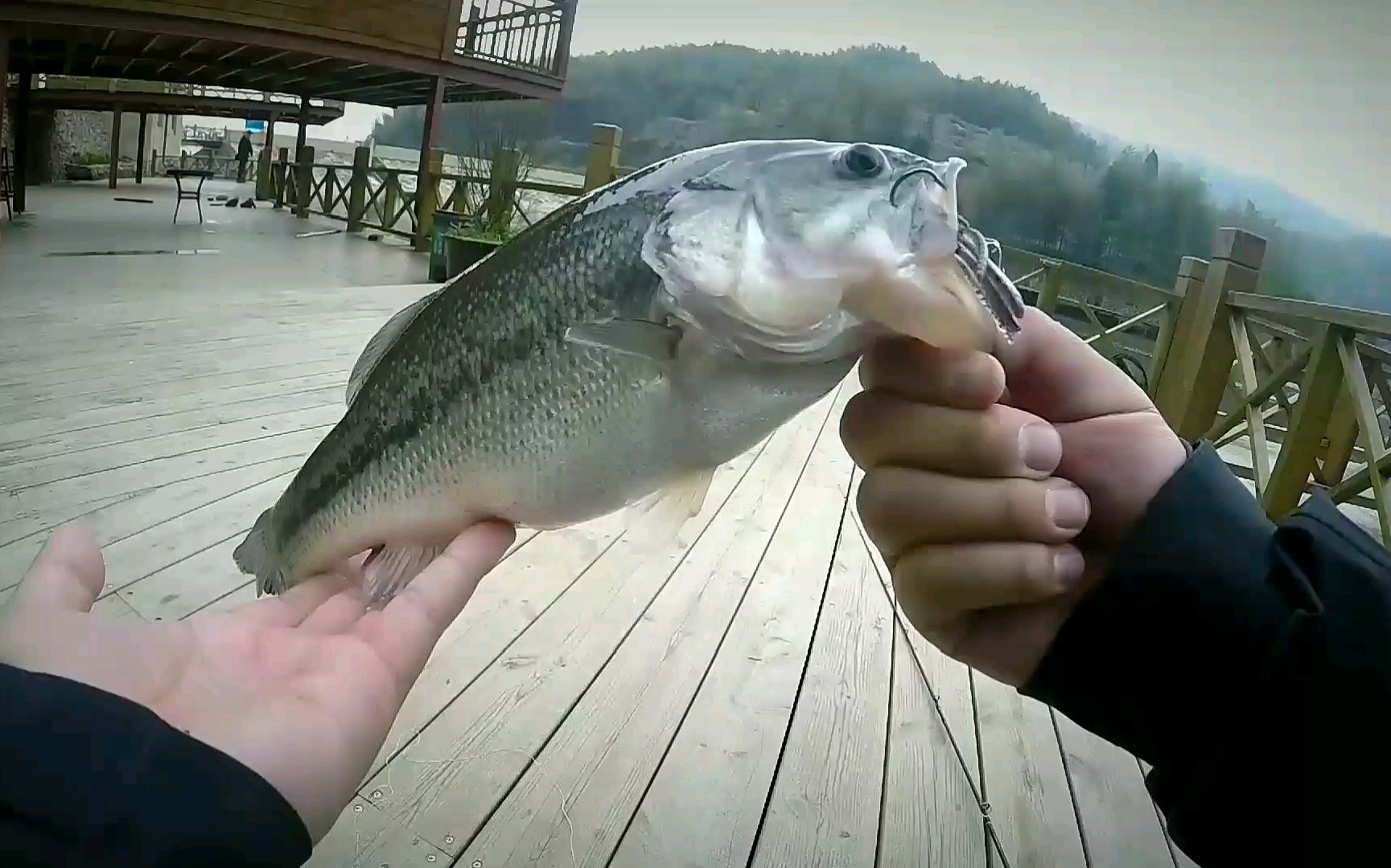 路亚加州鲈鱼 无铅钓组