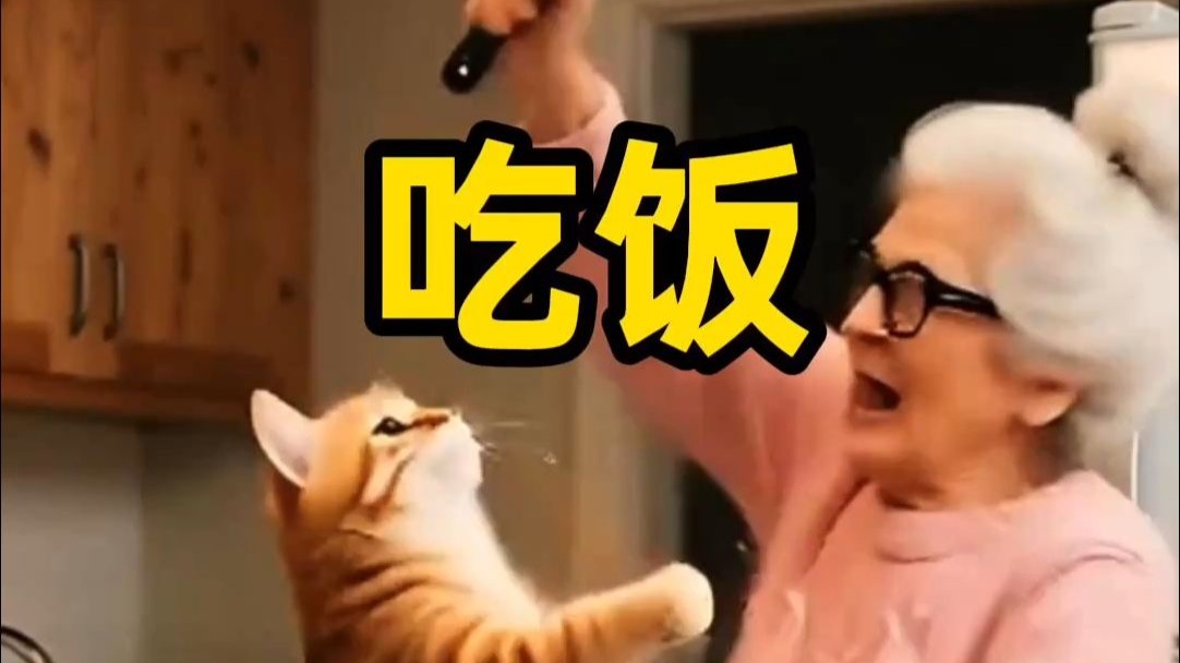 还回来吃饭吗？