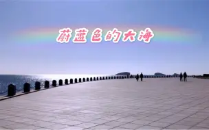 Download Video: 蔚蓝色的大海～大连高新区凌水湾海岸公园风景