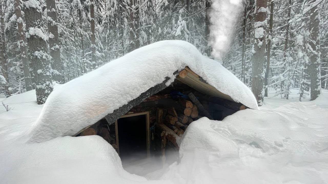 阳光房房顶下雪咋除雪图片