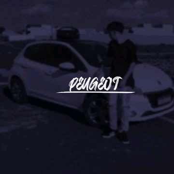 Peugeot(音频版)哔哩哔哩bilibili