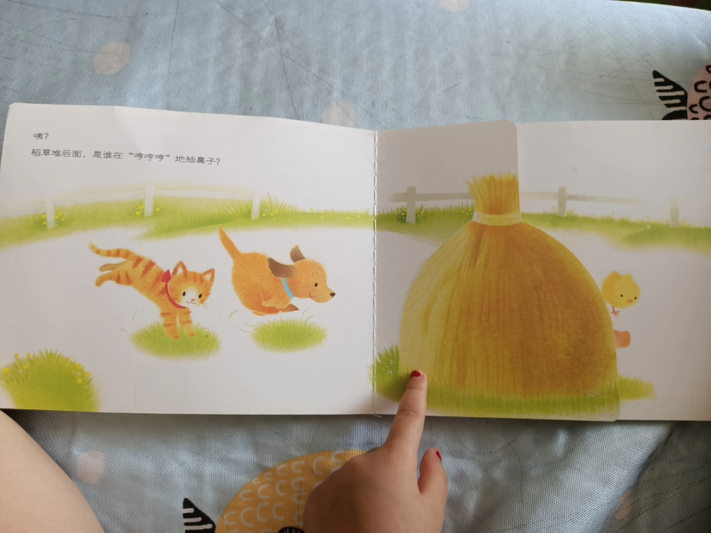 飞儿讲绘本小鸡球球系列小鸡球球藏猫猫