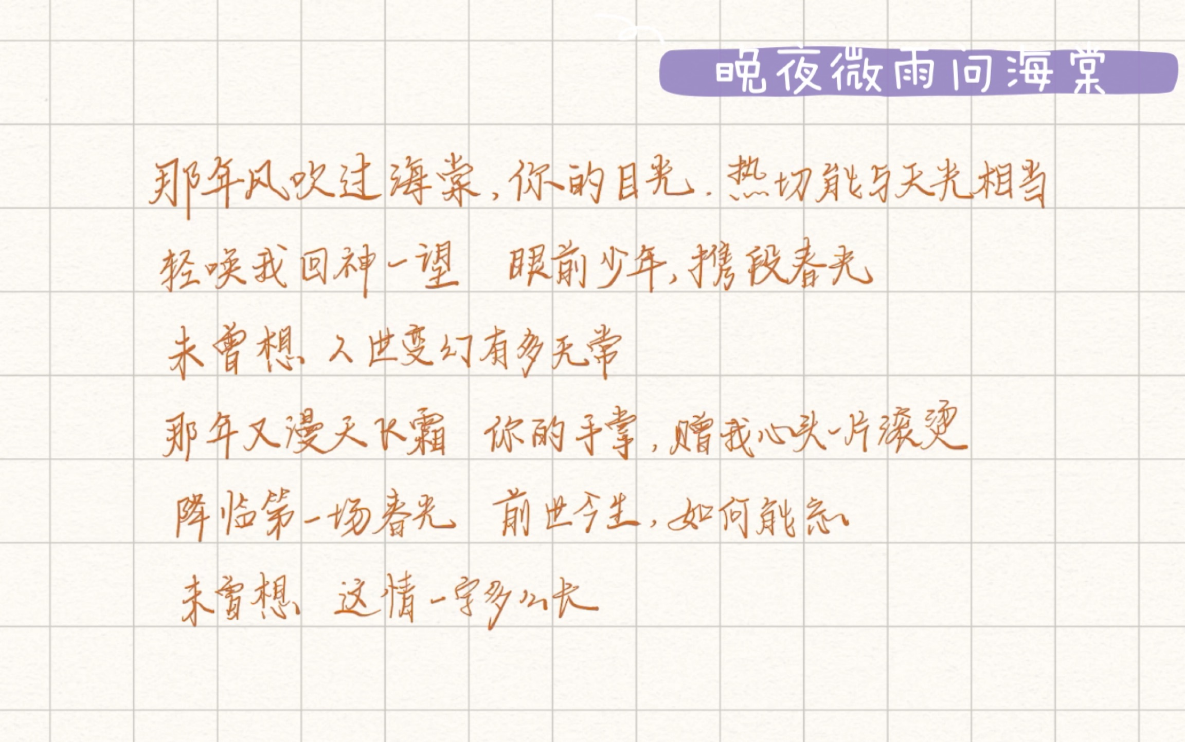 notability手写 | 晚夜微雨问海棠