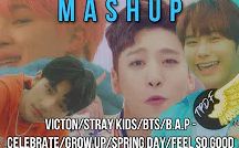 [图][MASHUP] VICTON-STRAY KIDS-BTS-B.A.P - Celebrate-Grow Up-Spring Day-Feel So Good