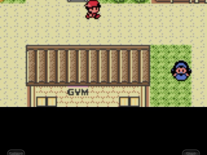 Pokemon silver parte 7