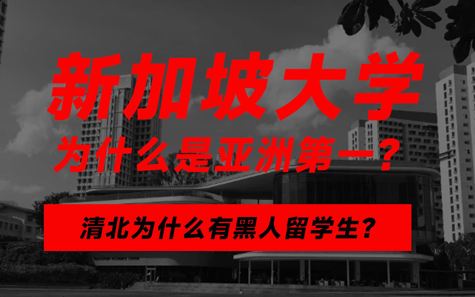 拥有两所世界顶尖的大学,新加坡为了教育做出了什么样的努力?新加坡华裔谈如何成为世界顶级大学【转自小岛大浪吹】哔哩哔哩bilibili