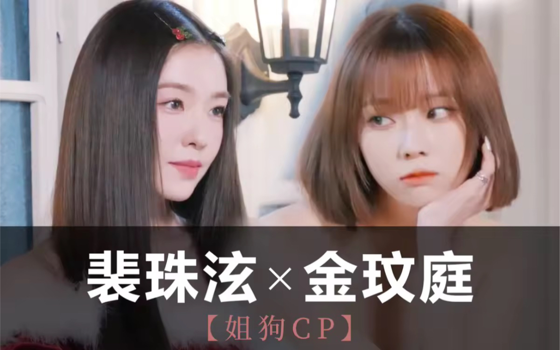 裴珠泫·金玟庭【姐狗cp】