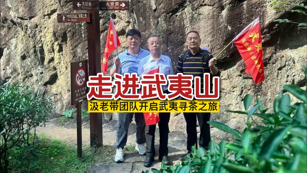 你心中的武夷山是什么样的?走进武夷山,开启武夷寻茶之旅,觅岩骨花香,