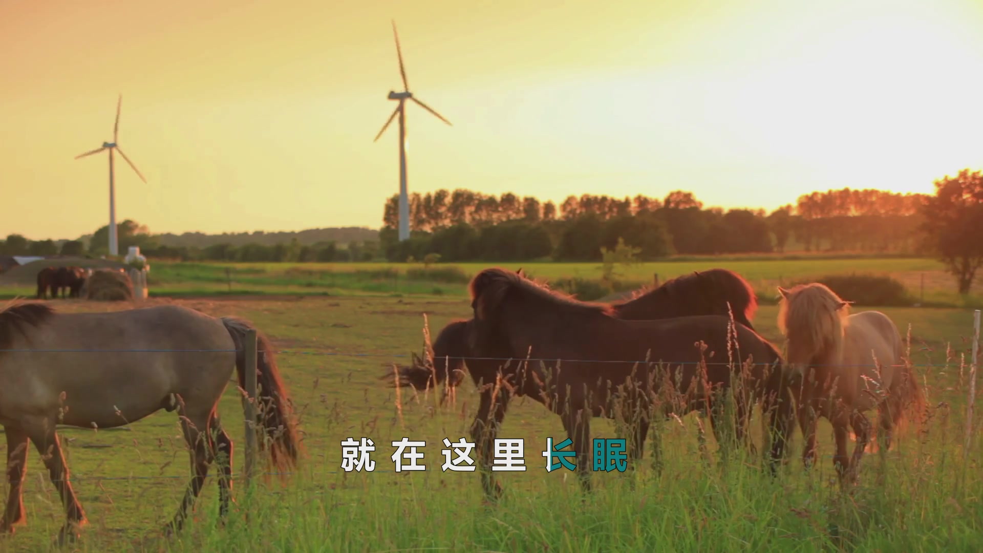 [图]格格这首《吉祥草原》经典好听，唱出大草原的美，句句醉人心扉