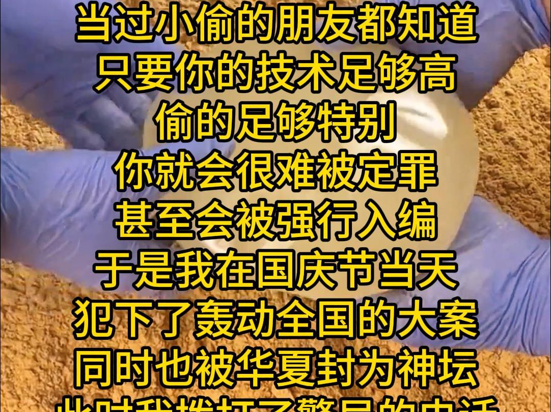 [图]当过小偷的朋友都知道 只要你的技术足够高 偷的足够特别 你就会很难被定罪 甚至会被强行入编 于是我在国庆节当天 犯下了轰动全国的大案 同时也被华夏封为神坛 此时