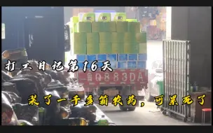 Tải video: 打工日记第16天，今天卸了一千多箱农业和800多捆饮料