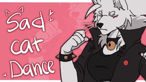 Furry animation】Sad cat dance - BiliBili