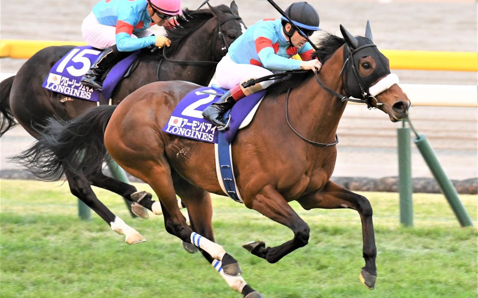 【赛马】无与伦比的last run,名马在g1引退赛的有终之美_哔哩哔哩