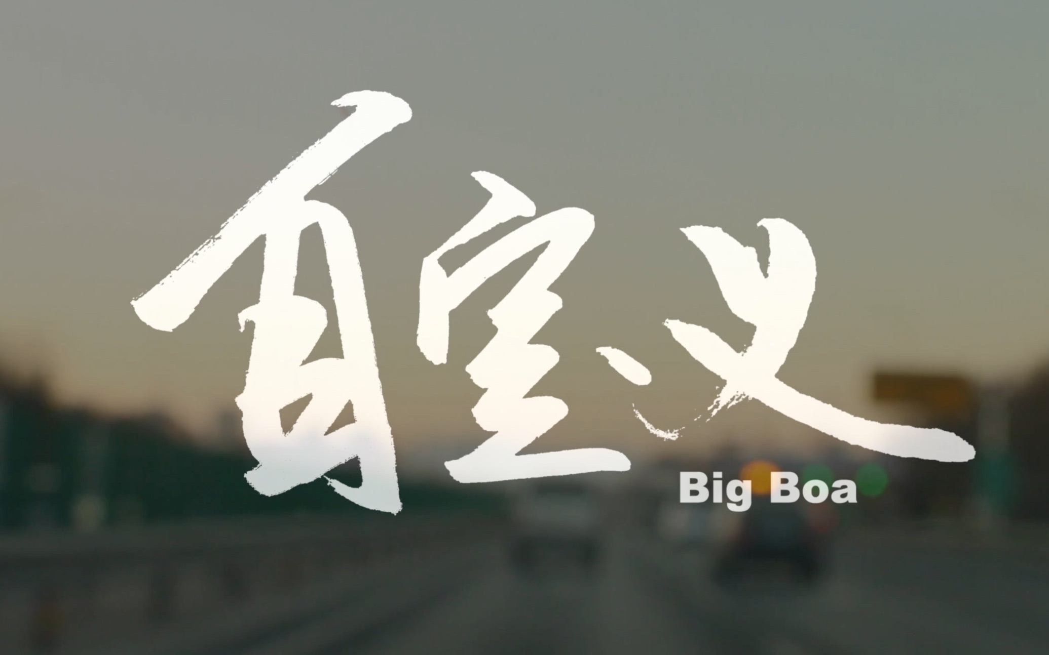 彪悍的人生不需要解释需要刺激bigboa自定义三