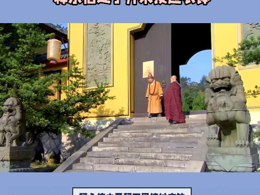 “释永信之子释正恩接过衣钵”?中国嵩山少林寺辟谣哔哩哔哩bilibili