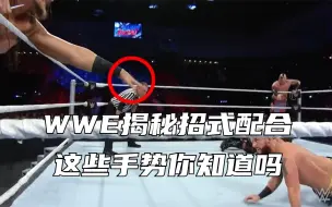 下载视频: WWE揭秘招式配合，这些“手势”你都知道吗？