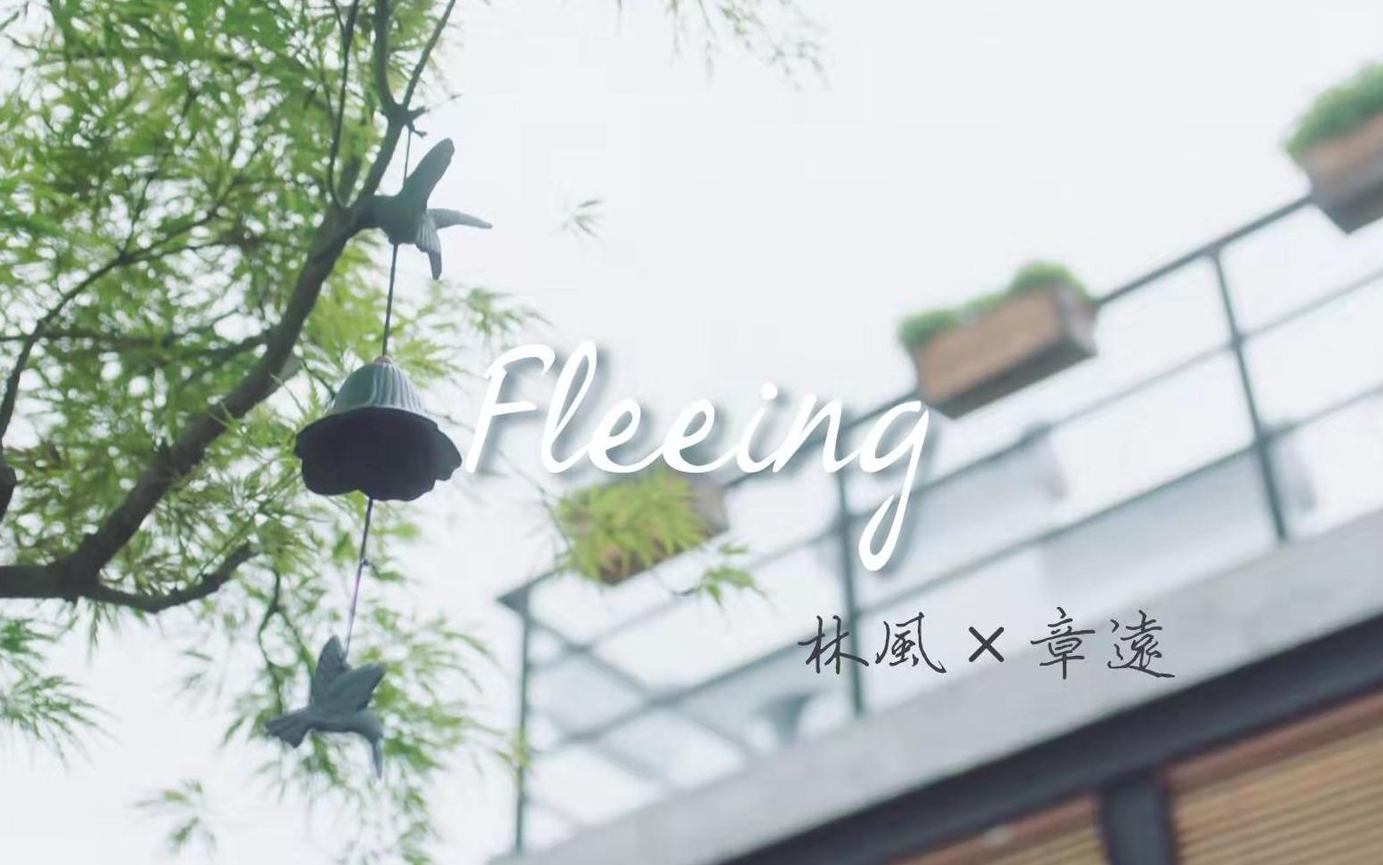 【巍澜衍生】林风*章远 Fleeing哔哩哔哩bilibili