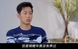 Descargar video: 水哥：做事用脑，成事用心