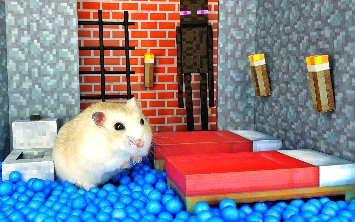 【Mister Hamster】【4K60FPS】MC迷宫大挑战哔哩哔哩bilibili