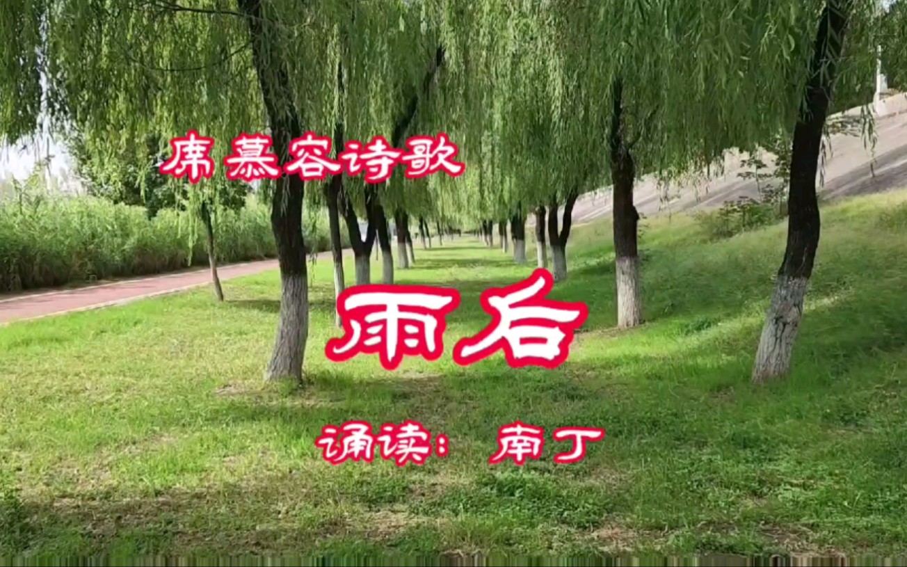 冰心《雨后》作者图片