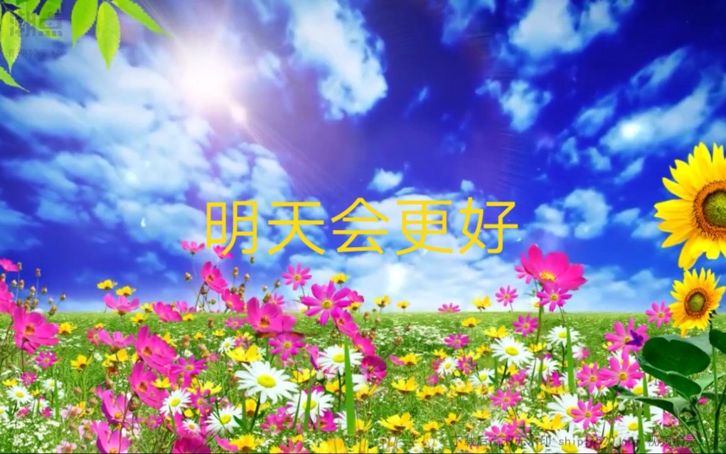 男声版歌曲《明天会更好》唱出了不一样的韵味.