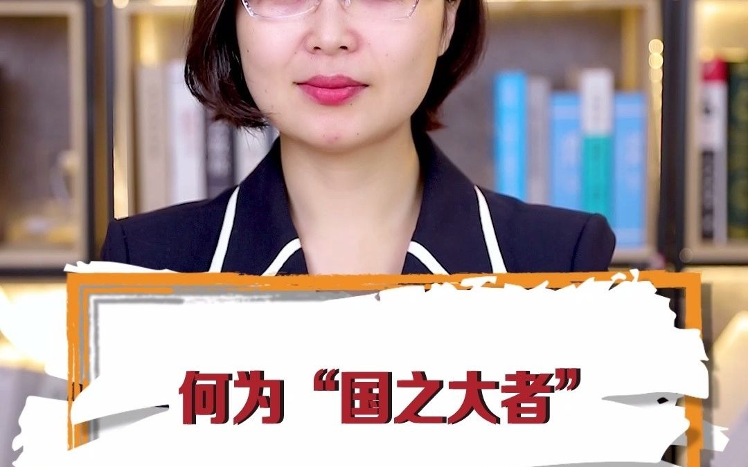 何为“国之大者”?哔哩哔哩bilibili