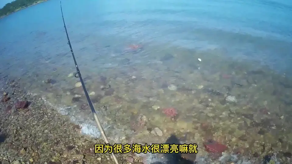 海边路亚钓几条漂亮的鱼养鱼缸，好玩又省钱，还是海里鱼花样多_哔哩哔