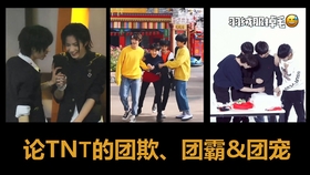 Tnt时代少年团 金句 名言名语不完全盘点 哔哩哔哩 つロ干杯 Bilibili